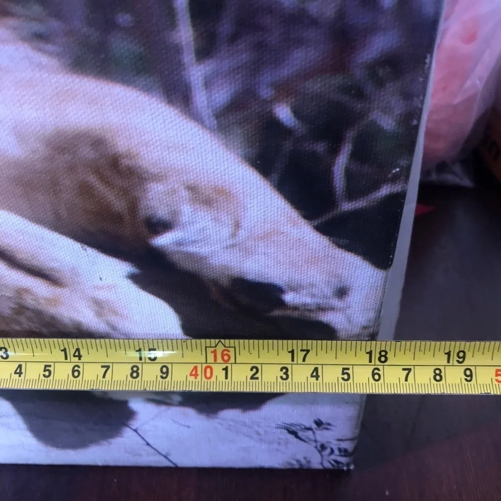 Lion On Canvas. 18” X24” - Picture 3 of 5